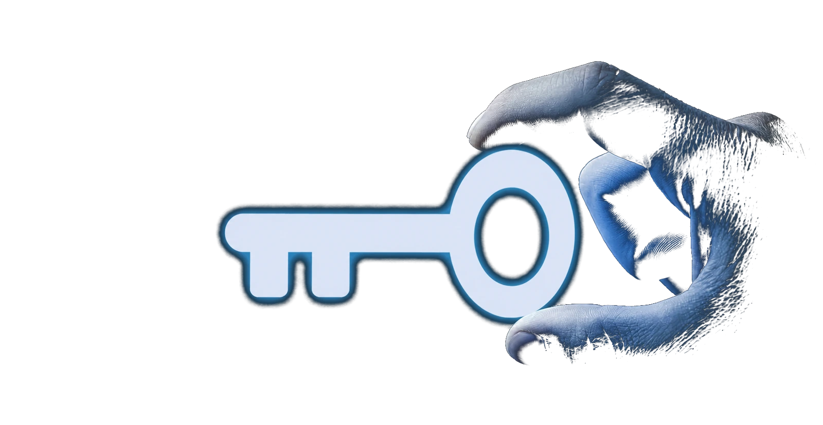 Biometrischer Zugriffsschutz und IT-Sicherheit
